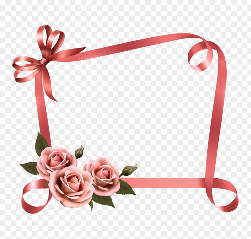 Ribbon Vector Graphics Pink Rose Gift PNG