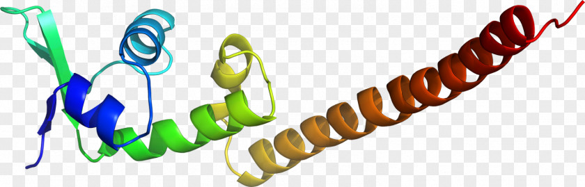 TATA-binding Protein Tata Motors Transcription Factor II D Transactivation Domain PNG