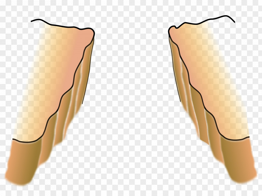 Bible Crossing The Chasm Clip Art PNG