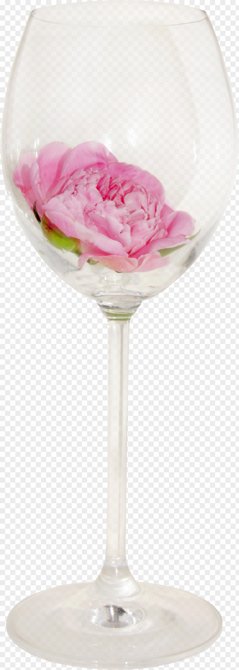 Cup Red Wine Pink Lady Martini Cocktail Glass Petal PNG