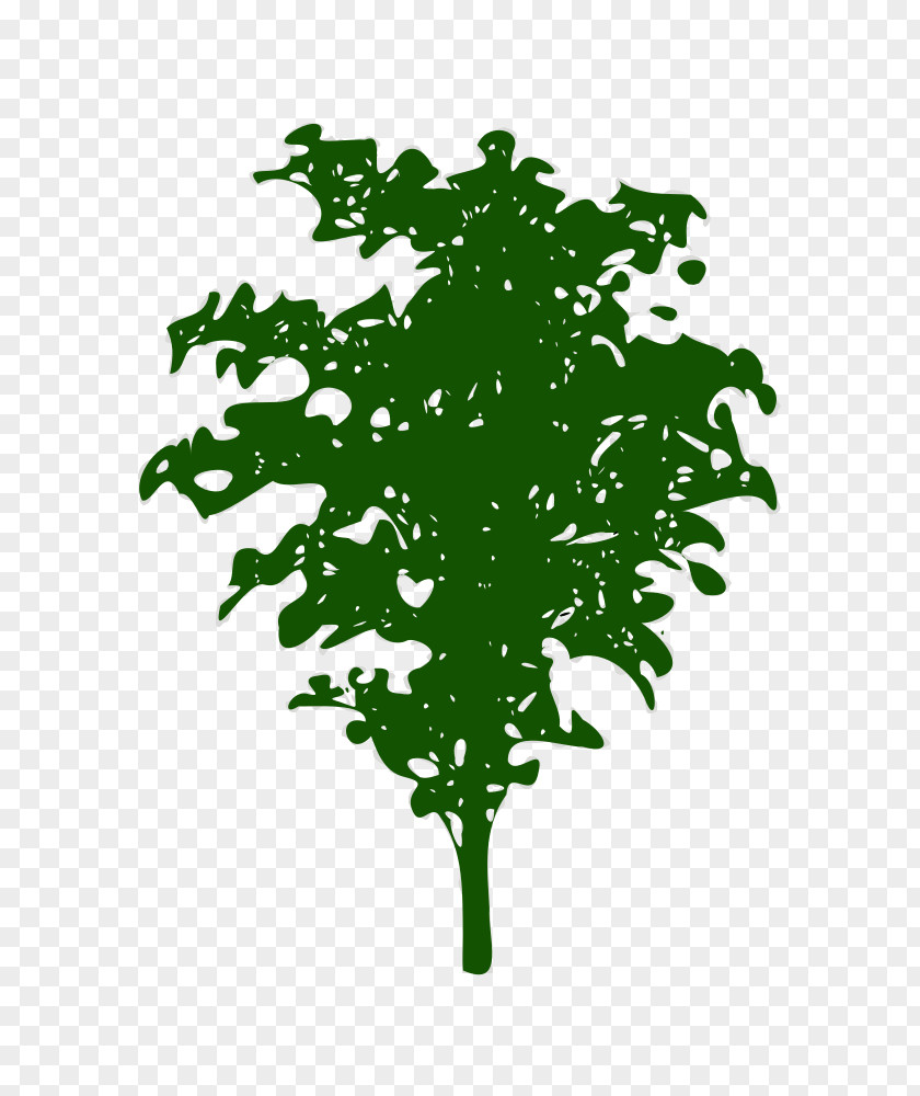 Leaf Green Plant Stem Font PNG