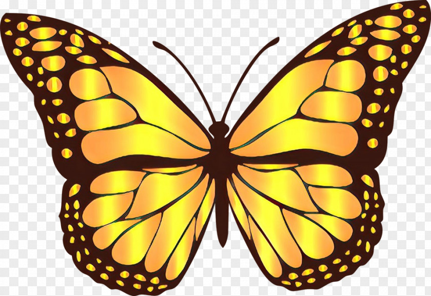 Monarch Butterfly Insect Image Yellow PNG