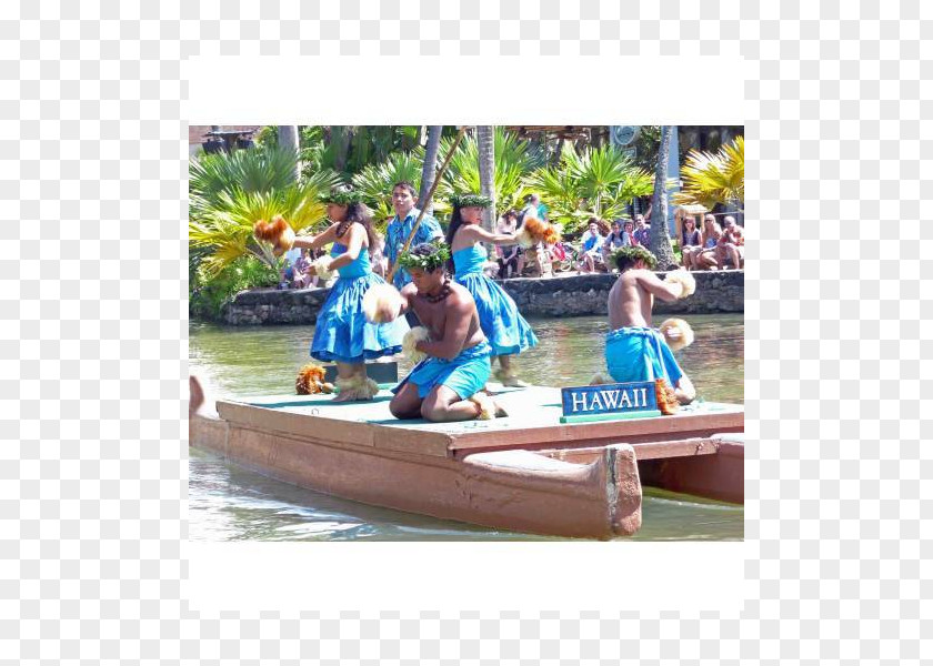 Paddle Kayak Leisure Canoe Recreation PNG