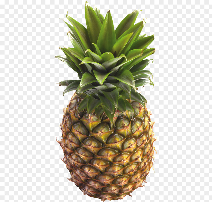 Pineapple Fruit Salad Clip Art PNG