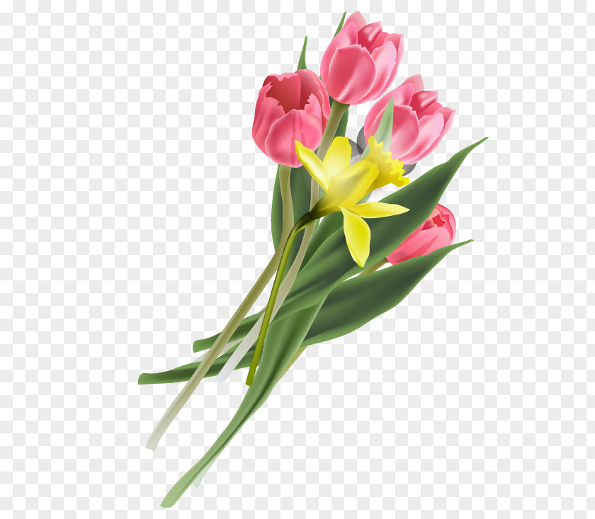 Pink Tulips Tulip Wedding Invitation Flower PNG