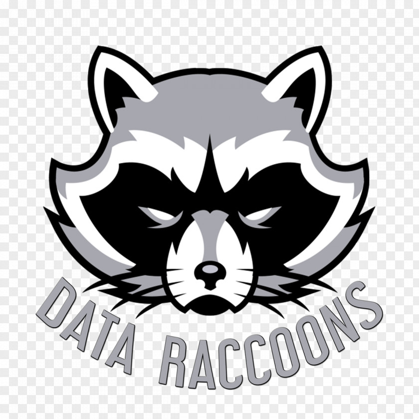 Raccoon Hoodie Giant Panda T-shirt Logo PNG
