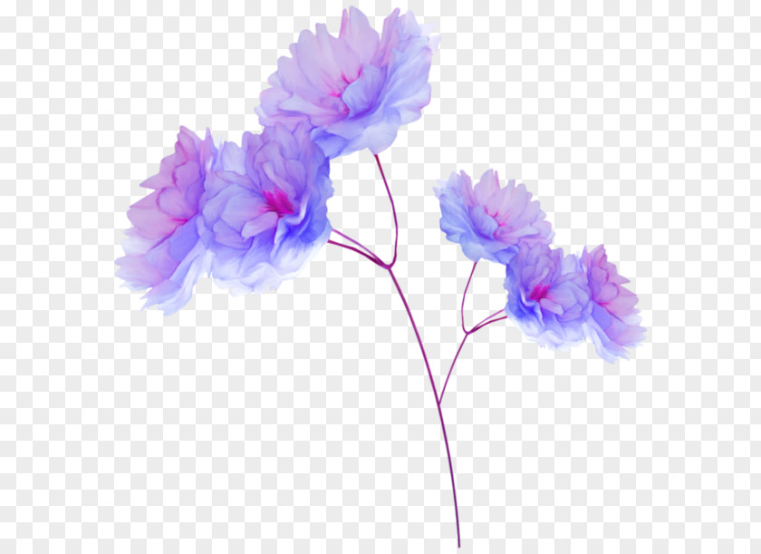 Rose Desktop Wallpaper Flower PNG