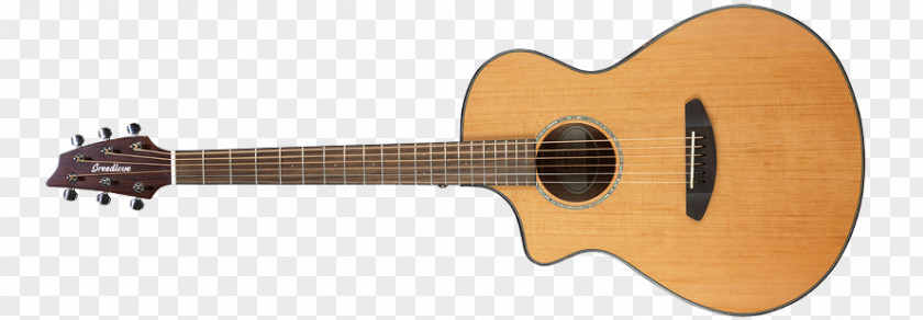 Unique Acoustic Guitars Acoustic-electric Guitar Steel-string PNG