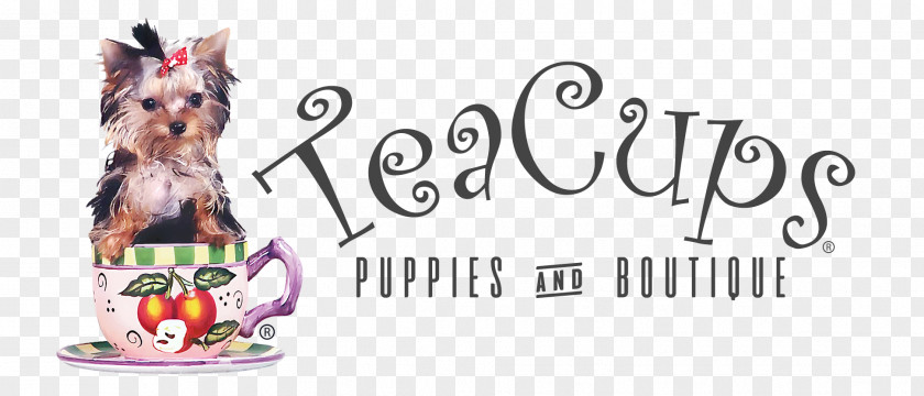 Yorkie Pomeranian Puppy Dog Breed TeaCups, Puppies & Boutique Canidae PNG