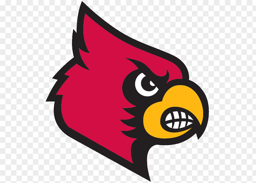 Basketball University Of Louisville Cardinals Men's Softball Cardinal Bird PNG