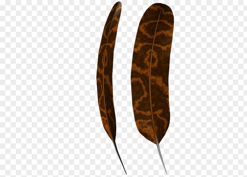 Brown Feathers Leaf PNG