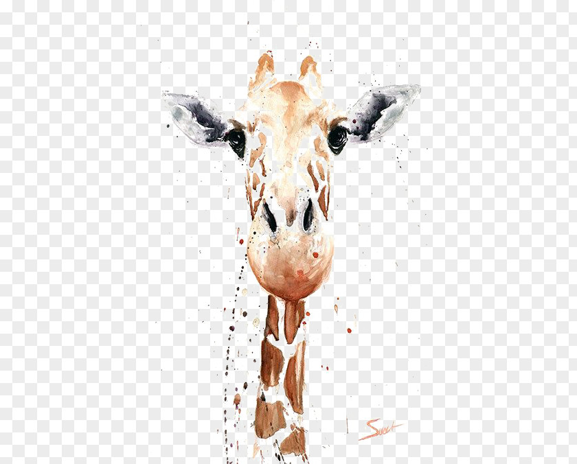 Giraffe Watercolor Painting Canvas Print Printmaking PNG