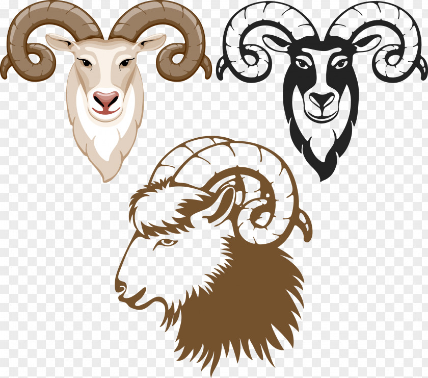 Goat Sheep Royalty-free PNG