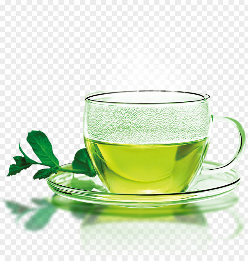 Liqueur Herbaceous Plant Leaf Green Tea PNG