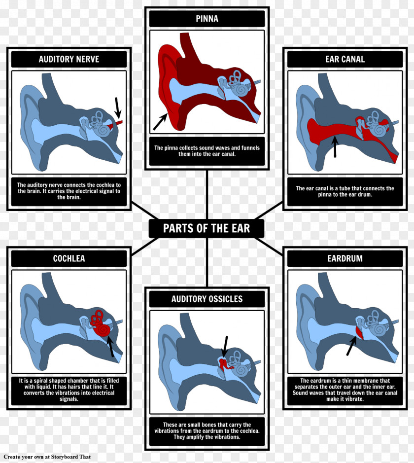 Sound Wave Periodic Table Cochlear Nerve Inner Ear PNG