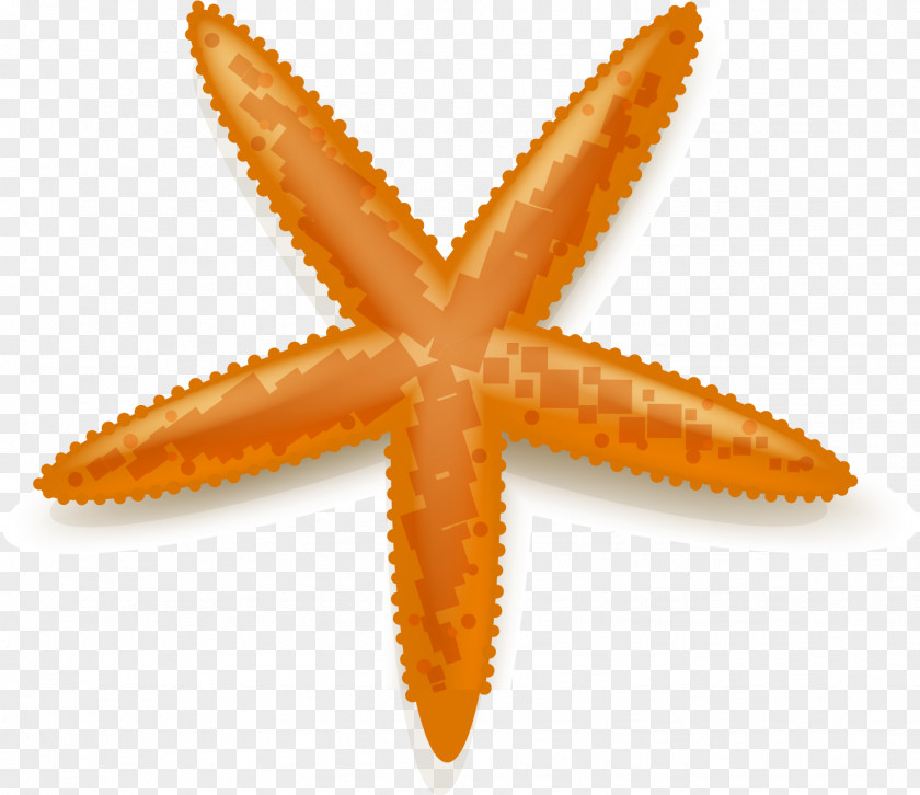 Vector Yellow Starfish Euclidean PNG