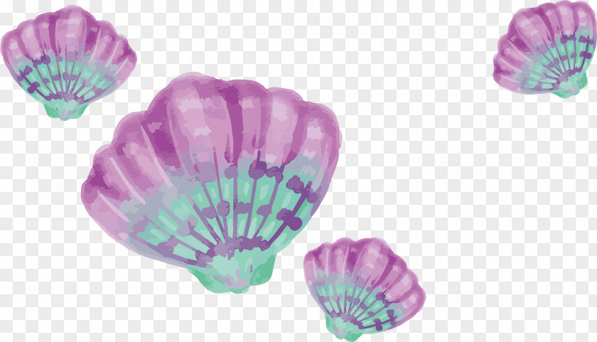 Watercolor Purple Shells Painting Drawing Download PNG