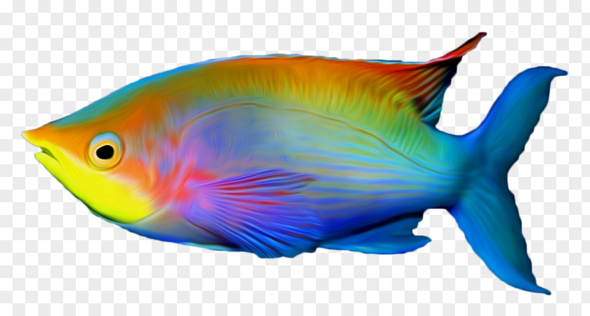Fish Tropical Clip Art PNG