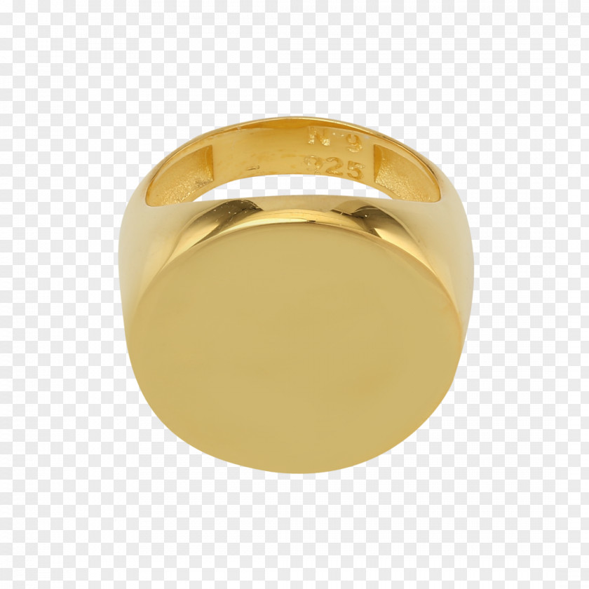 Ring Signetring Jewellery Gold Silver PNG