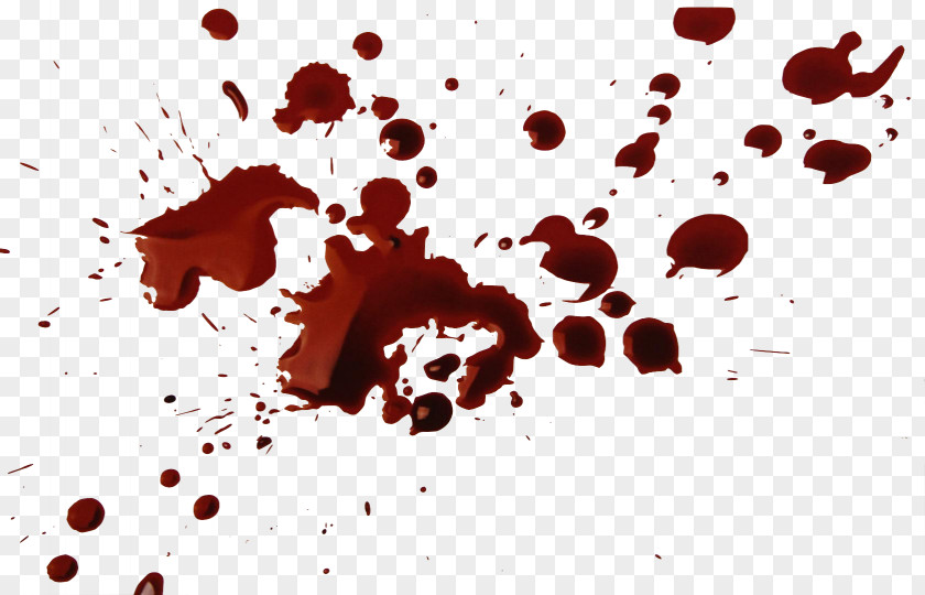 Blood Spatter Crime Scene Stock Photography Bloodstain Pattern Analysis PNG