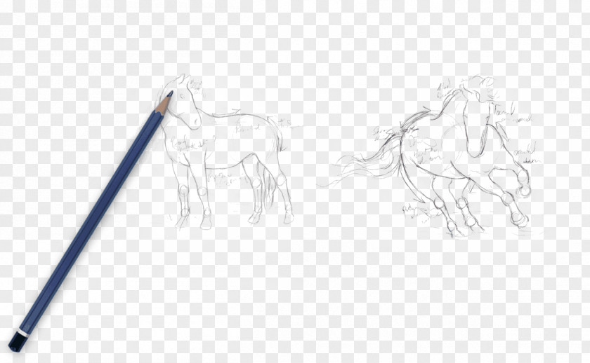 Brown Green Farm Theme Logo Drawing Mustang Pony Sketch PNG