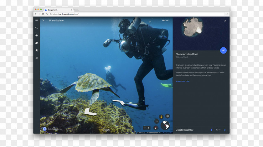 Computer Marine Mammal Biology Graphic Design Desktop Wallpaper Divemaster PNG