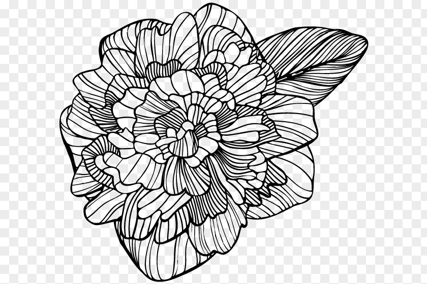 Floral Design /m/02csf Drawing Monochrome PNG