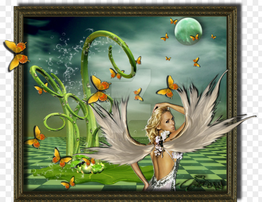 Insect Fauna Picture Frames Cartoon PNG