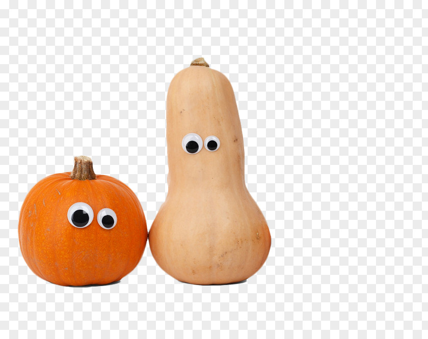 Pumpkin Cucurbita Butternut Squash Carving Vegetable PNG