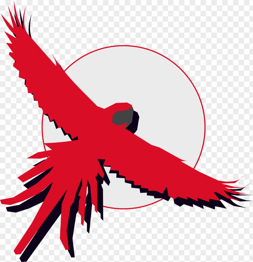 Scarlet Macaw Beak Feather Line Clip Art PNG
