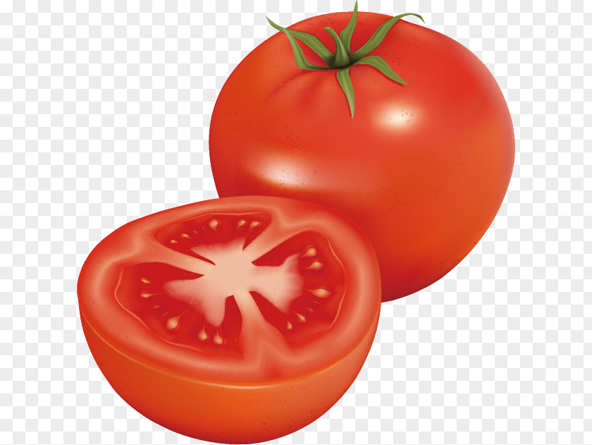 Tempting Tomato Clip Art PNG