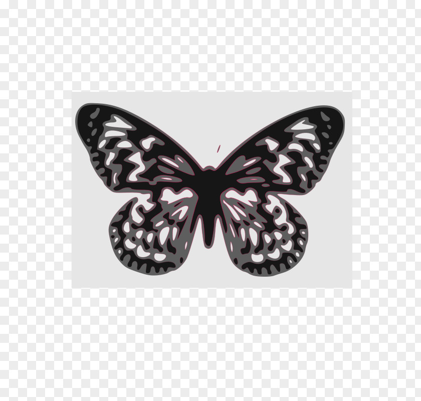 Vector Decorative Pine Monarch Butterfly Papillon Dog Clip Art PNG