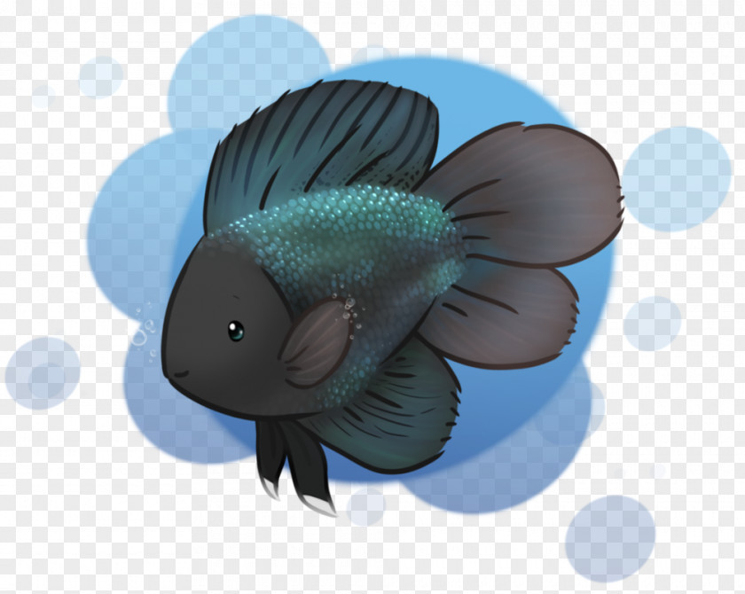 Betta Hedgehugs YouTube DeviantArt Bear 23 January PNG