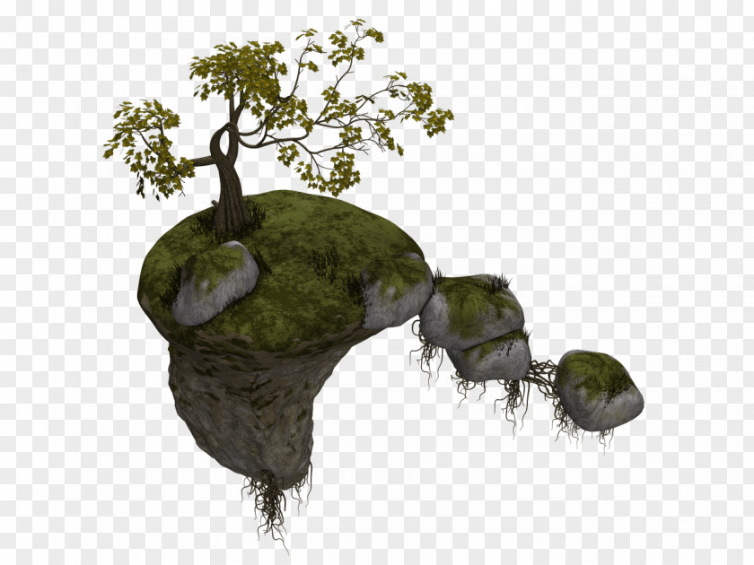 Floating Tree PNG