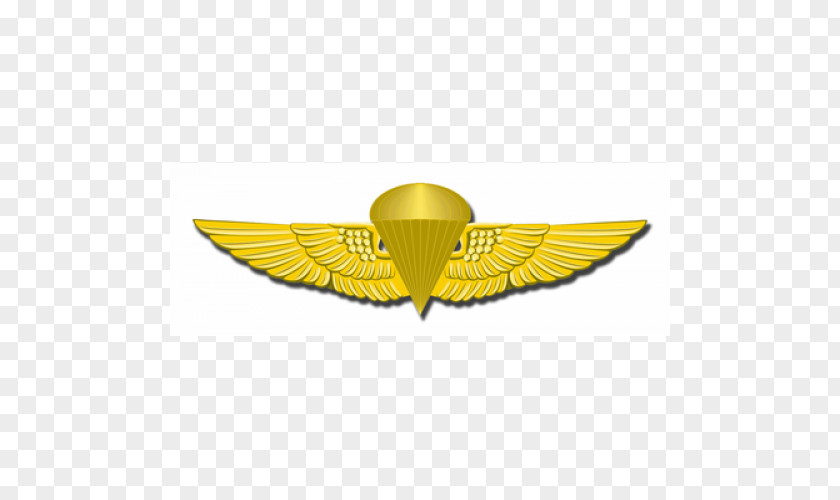 Military Logo Emblem United States Marine Corps Parachutist Badge PNG