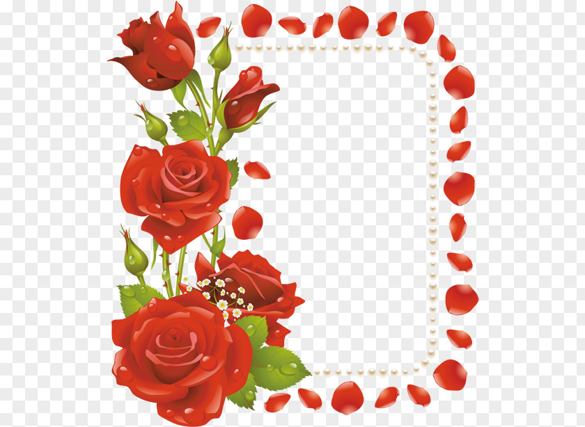 Red Rose Decorative Flower Picture Frames Clip Art PNG