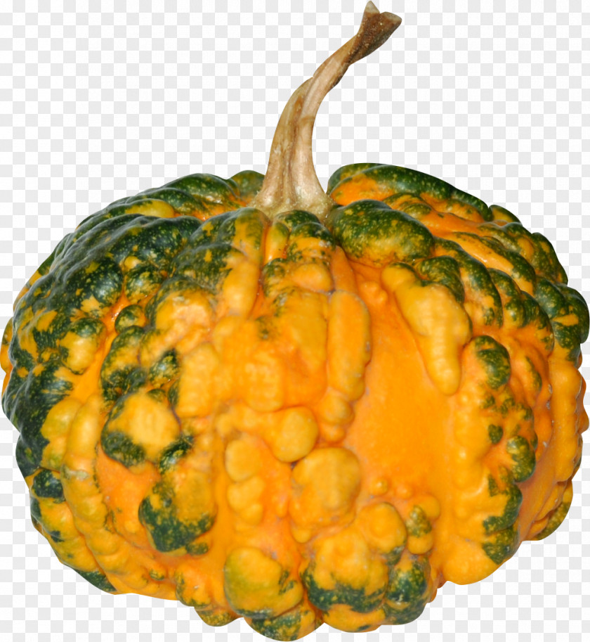 Vegetable Cucurbita Pumpkin Food Squash PNG