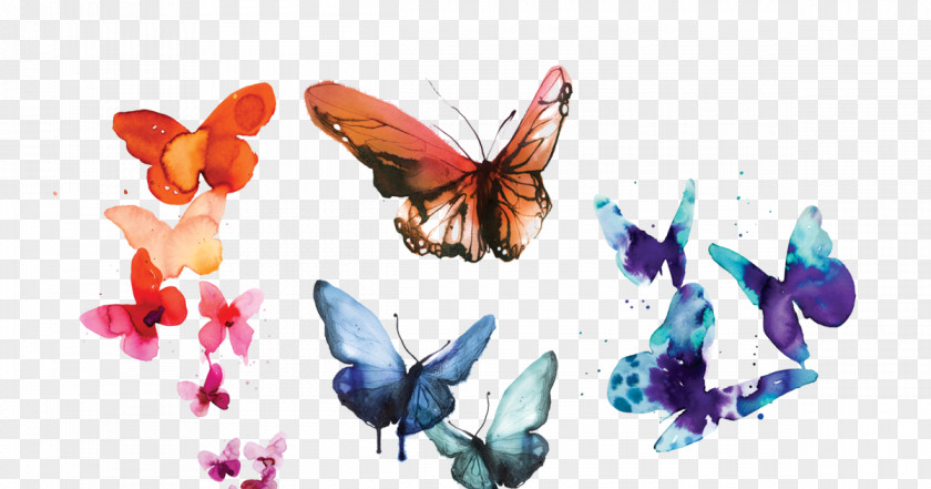 Watercolor Butterfly Carolynns Painting Clip Art Image PNG