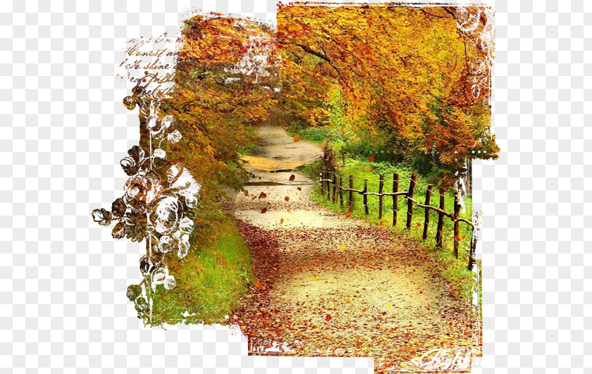 Autumn Background Desktop Wallpaper Download 1080p PNG