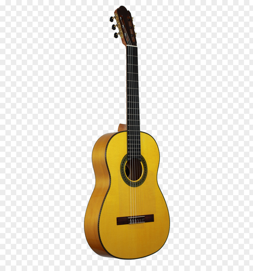 Flamenco Instruments Acoustic Guitar Classical C. F. Martin & Company Acoustic-electric PNG