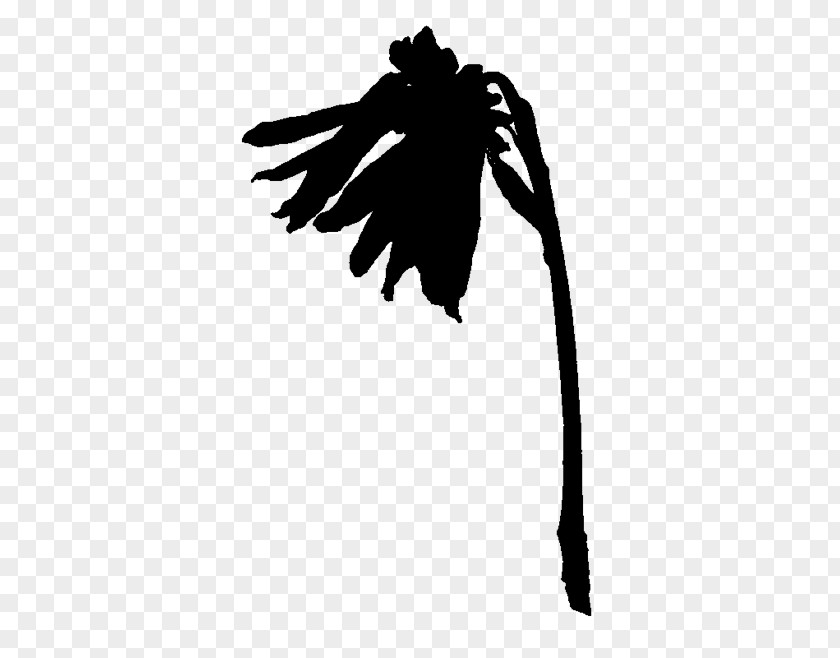 Gesture Claw Tree Silhouette PNG