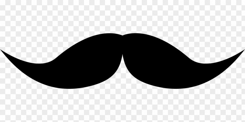 Moustache Movember Beard Drawing PNG