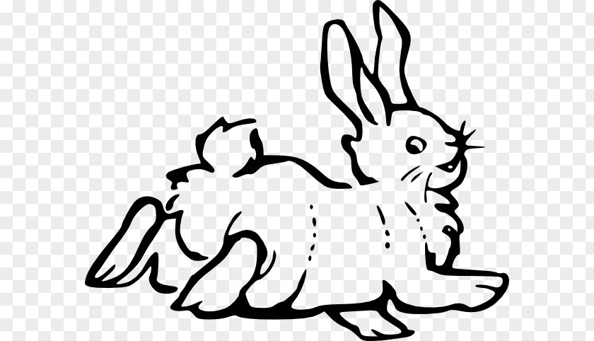 Rabbit Line Art European Hare Clip PNG