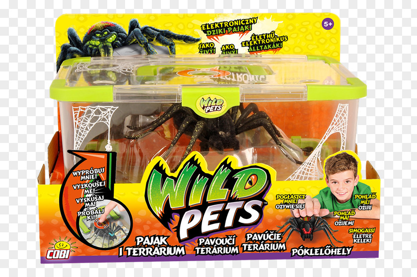 Spider Little Live Pets Toy Cobi Terrarium PNG