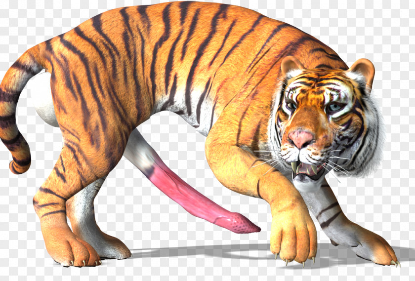 Tiger 3d Big Cat Wildlife Animal PNG