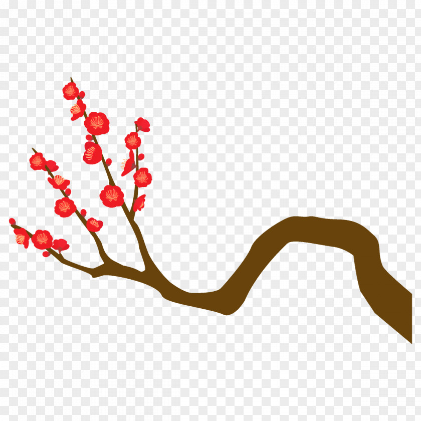 Twig Blossom Branch Flower Plant PNG
