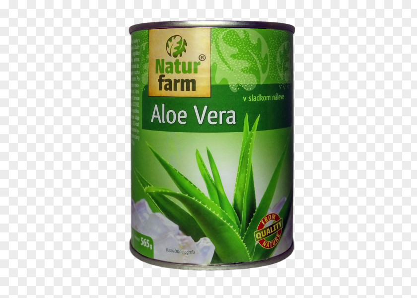 Aloevera Aloe Vera Vitamin Compote Elintarvike Diet PNG