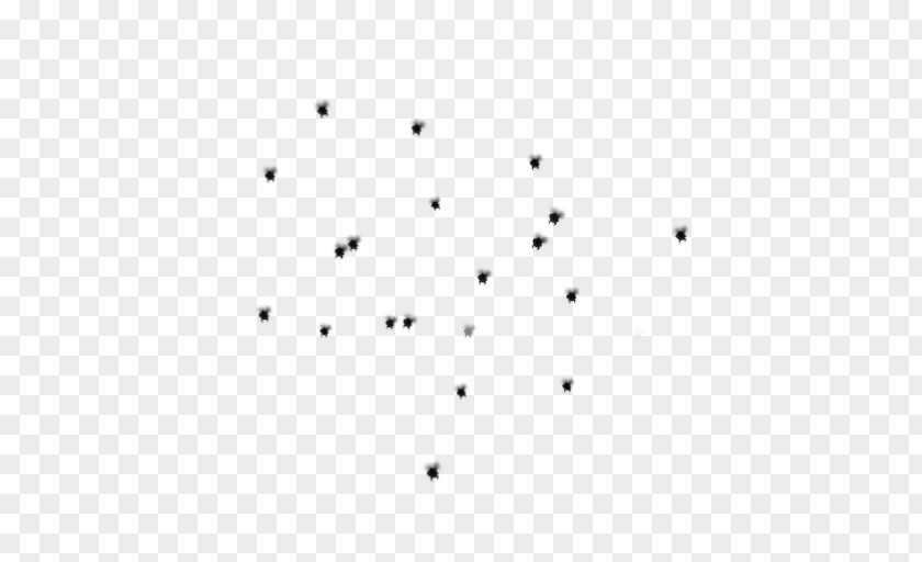 Flies Circle Black And White Monochrome Point Angle PNG