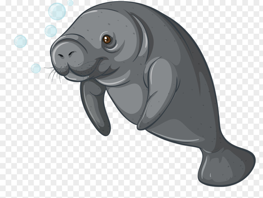 Hand-painted Seals Sea Cows Stock Photography Dugong Clip Art PNG