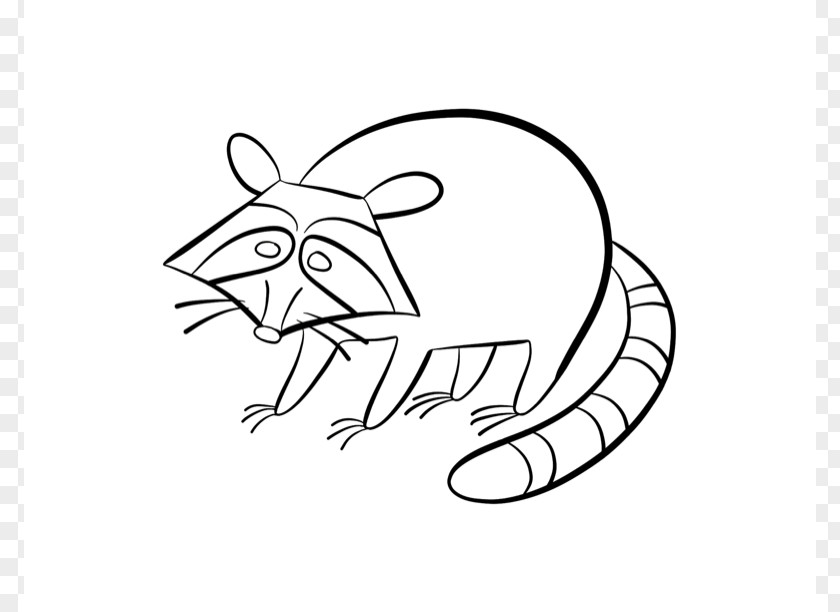 Raccoon Pictures For Kids Baby Coloring Book Child Clip Art PNG